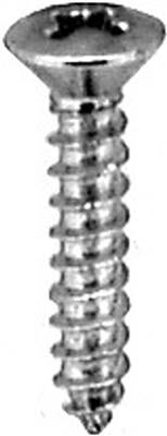 Phillips Oval Head Tap Screw #6 X 3/4 Chrome