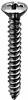 Phillips Oval Head Tap Screw #6 X 1 Chrome