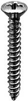 Phillips Oval Head Tap Screw #6 X 1 Chrome