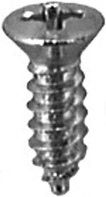 Phillips Oval #6 Head Tap Screw 8X 1/2 Chrome