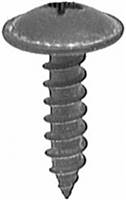 Phillips Truss Head Tap Screw M5-2.12 X 20mm