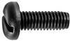 M6-1.0 x 16mm Slotted Pan Head Nylon License Plate Screw