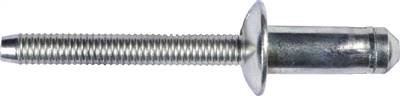 Ford Specialty Rivets W702554-S900C