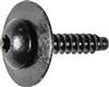 GM TORX Pan Head SEMS Tap Screw With Dog Point 11570637