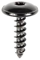 Audi, Porsche, and VW Torx Truss Head Tapping Screw N90892001; N90775001