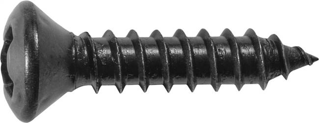 #6 x 5/8" Phillips Oval Head Tapping Screw - Black