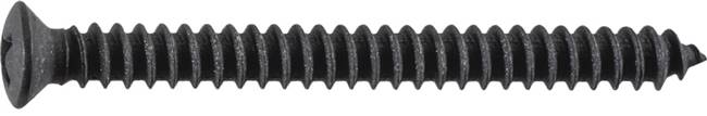Phillips Oval Head Tapping Screw #10 x 2" - Black