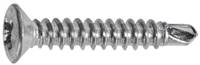 M4.2-1.41 x 25mm Phillips Pozi Oval Head Tapping Screw - Chrysler: N802337S9