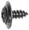 #10 x 1/2" Phillips Oval Head Tapping Screw Countersunk Washer - Black