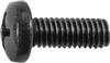 M6-1.0 x 16mm Phillips Pan Head License Plate Screw