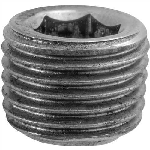 1/4-19 Socket Head British Pipe Plug