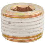 3/8" Japanese Pipe Plug w/ Sealant