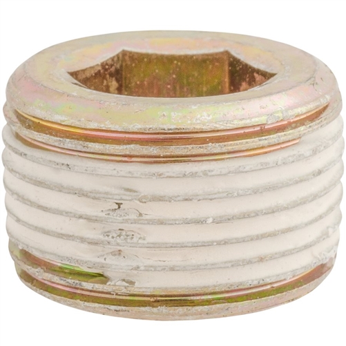 3/4" Japanese Pipe Plug w/ Sealant