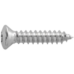 4.2 x 20mm Torx Oval Tapping Screw