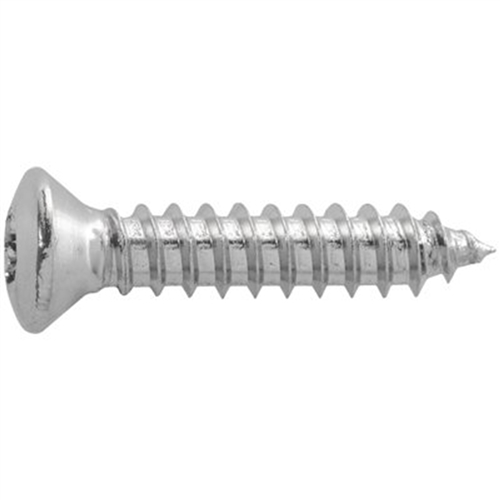 4.2 x 20mm Torx Oval Tapping Screw