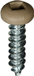 #6 X 1/2 - Pan Head Square Drive Screws - Tan Painted Head