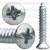 #10 X 1 W/ #8Hd Phillips Oval Head Tap Screw Zinc