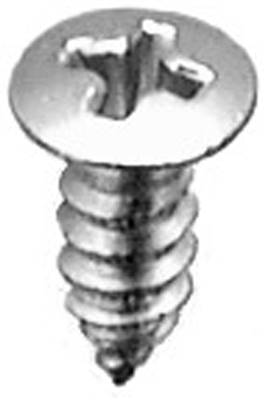 10 X 1/2 Phillips Oval #8 Hd Tap Screw Chrome