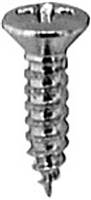 6 X 1/2 Phillips Oval Head Tap Screw Chrome