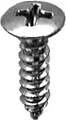 8 X 5/8 Phillips Oval Head Tap Screw Chrome