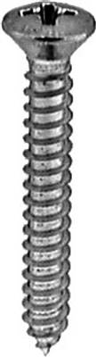 #8 X 1-1/4 Phillips Oval Head Tap Screw Chrome