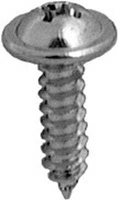 #8 X 5/8" Phillips Round Washer Head Tap Screw