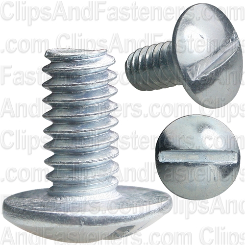 Sltd Rd.Hd.License Plate Bolt