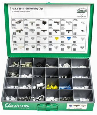 GM Moulding Clips Kit