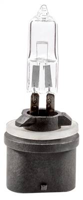 Bulb 890