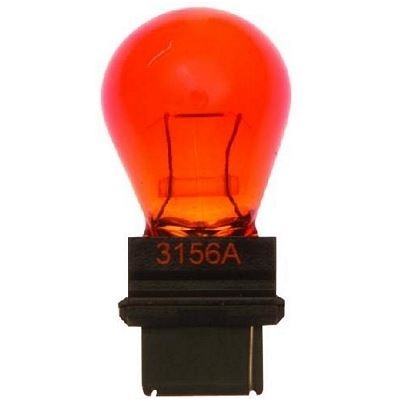 3156A Amber Light Bulbs Corner/Backup