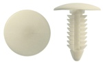 Creamy White Nylon Shield Retainers