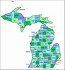Laminated Map of Chippewa County Michigan
