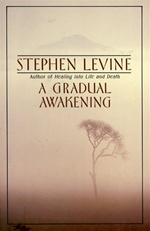 Gradual Awakening, Stephen Levine
