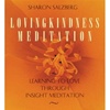 Loving-kindness Meditation (Audio CDs) <br>By: Sharon Salzberg