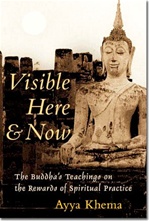Visible Here And Now : The Buddha's Teachings on the Rewards of Spiritual Practice  Ayya Khema