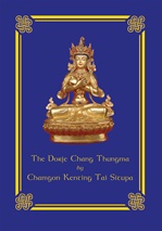 Dorje Chang Thungma, Tai Situpa Rinpoche