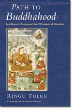 Path to Buddhahood: Teachings on Gampopa's Jewel Ornament of Liberation by Ringu Tulku