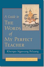 Guide to the Words of My Perfect Teacher, Khenpo Ngawang Pelzang