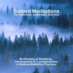 Guided Meditations: For calmness, awareness and love, CD <br> By: Bodhipaksa