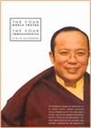 Four Noble Truths and the Four Immeasurables, DVD