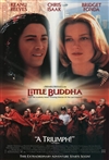 Little Buddha, DVD