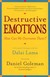 Destructive Emotions: How Can We Overcome Them?