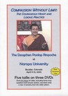 Compassion Without Limit: The Courageous Heart and Lojong Practice, DVD<br>  By: Ponlop Rinpoche