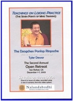 Teachings on Lojong Practice, DVD <br>  By: Ponlop Rinpoche