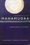 Essentials of Mahamudra: Looking Directly at the Mind