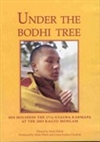 Under the Bodhi Tree, DVD<br>By: H.H. the 17th Karmapa at the 2003/2004 Kagyu Monlam