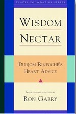 Wisdom Nectar: Dudjom Rinpoche's Heart Advice