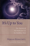 It's Up to You: The Practice of Self-Reflection on the Buddhist Path <br>  By: Dzigar Kongtrul