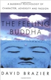 Feeling Buddha: A Buddhist Psychology of Character, Adversity and Passion <br>  By: David Brazier