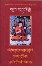 Illuminating Lamp: Topics from the Ornament  of Realization and other works (Tibetan only) <br> By: Karmapa Rangjung Dorje